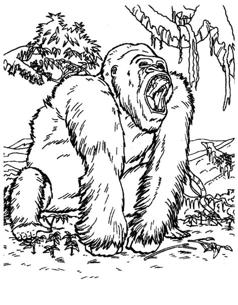 King Kong Coloring Page Free Printable Coloring Pages King Kong