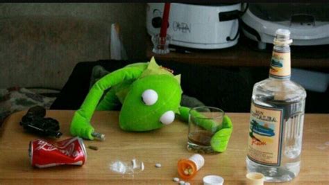 Alcoholic Kermit Kermit Addicts Amino