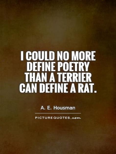 Pack rat day is celebrated on 17th may of every year. Rat Quotes. QuotesGram