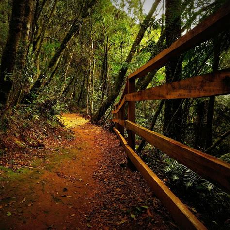 Parque Das Araucárias Guarapuava
