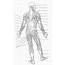 Muscles In The Body Diagram  Anatomy Quiz Muscular System Human