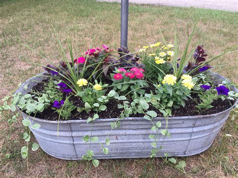 Flowers In A Galvanized Tub Flower Pots Outdoor Patio Flower Pots