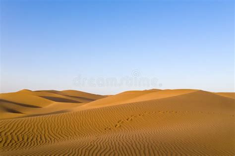 Golden Desert In Sunset Stock Image Image Of Arabic 130040285