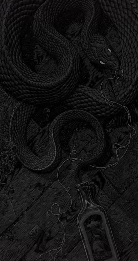 The Dark Snake Wallpaper Black Aesthetic Wallpaper Aesthetic Wallpapers