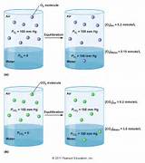 Solubility Of Nitrogen Gas In Water Photos
