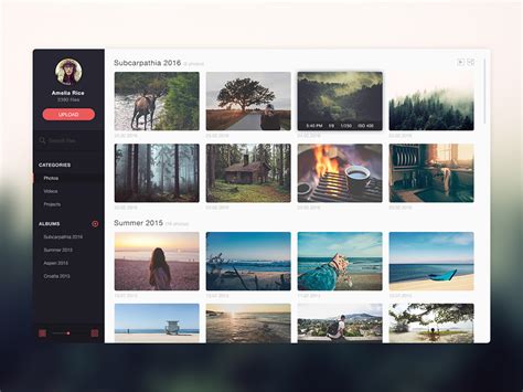 Photo Gallery Website Application Template Free PSD - Download PSD