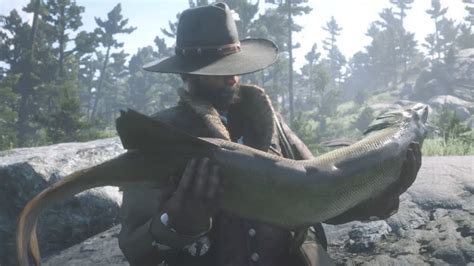 Unlike the main red dead redemption 2 campaign, red dead online is pretty stingy when it comes to handing out money. RDR2 Online - What Fish Gives You The Most Money Online? - YouTube
