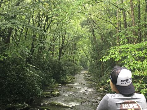 Lifes Sweet Journey A Rainy Day In Great Smoky Mountains National Park