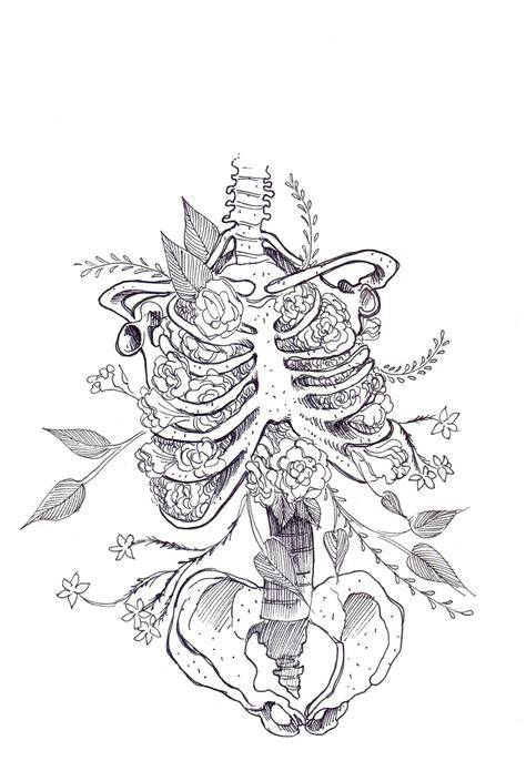 White skeleton decor, human skeleton skull drawing anatomy illustration, skeleton frame, frame, white, golden frame png. Rib cage | Art, Art sketches, Anatomy art