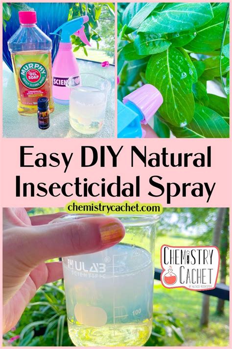 Do You Want An Easy More Natural Way Of Keeping Bugs From Eating Your