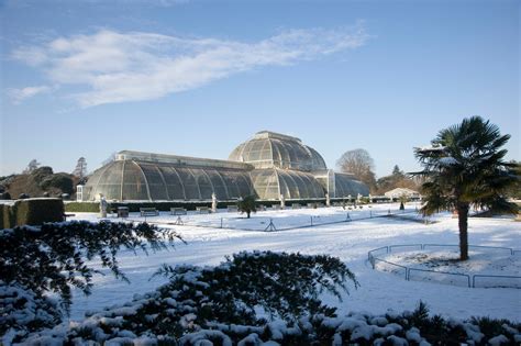 Kew Gardens London When To Go And What To See At The Botanical Gardens