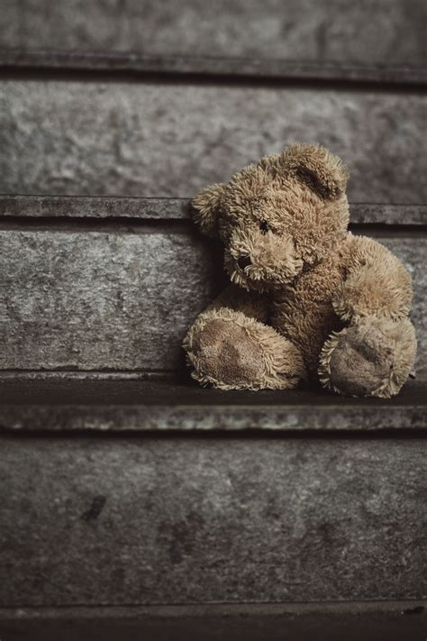 Lonely Teddy Teddy Bear Wallpaper Teddy Bear Teddy Bear Images