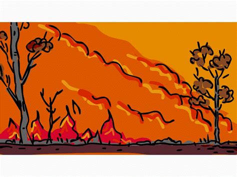 Forest Fire Color Drawing 2d Animation By Retro Vectors Limited On Dribbble