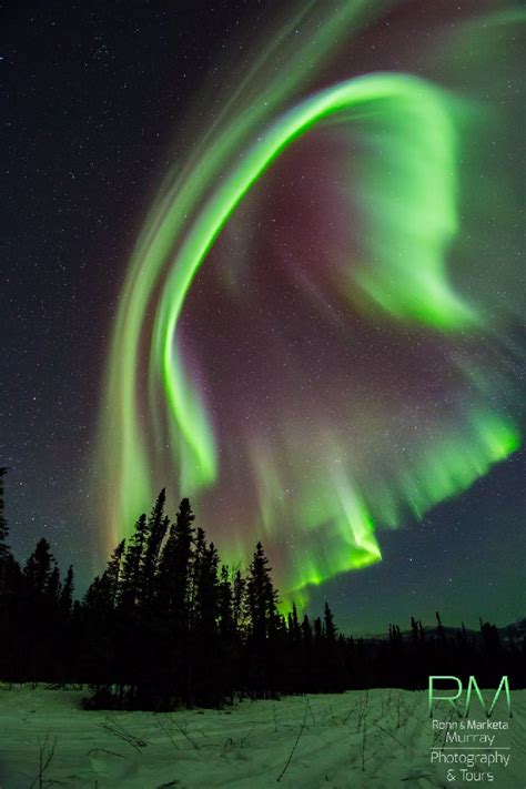 Aurora Fairbanks Alaska Northern Lights And Starry Nights Northern