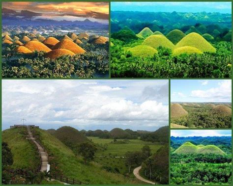 The Chocolate Hills An Unusual Geological Formation In Bohol Province