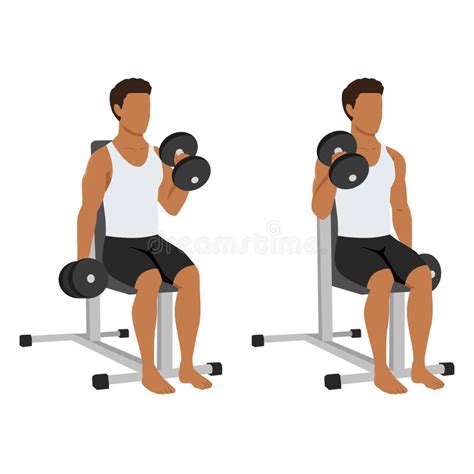 Seated Bicep Curls Stock Illustrations 42 Seated Bicep Curls Stock