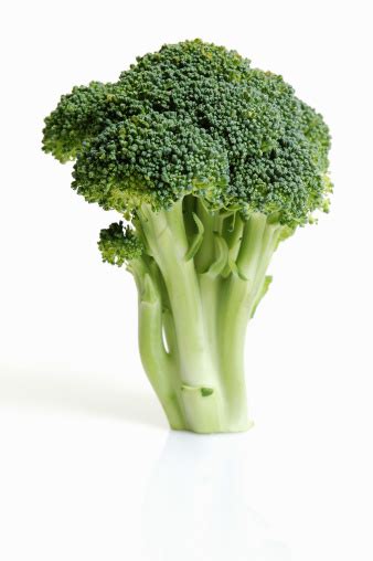 Broccoli Standing Stock Photo Download Image Now Broccoli