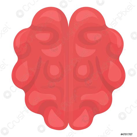 Brain Icon Cartoon Vector Human Anatomy Stock Vector 4701707 Crushpixel