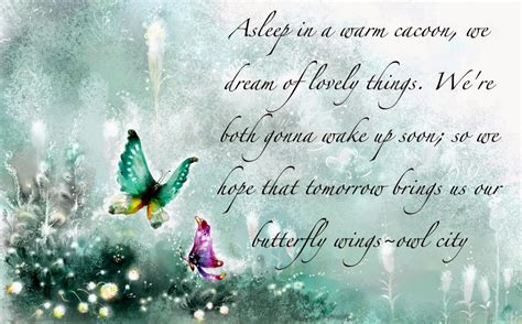 Butterfly Quotes Butterfly Pictures
