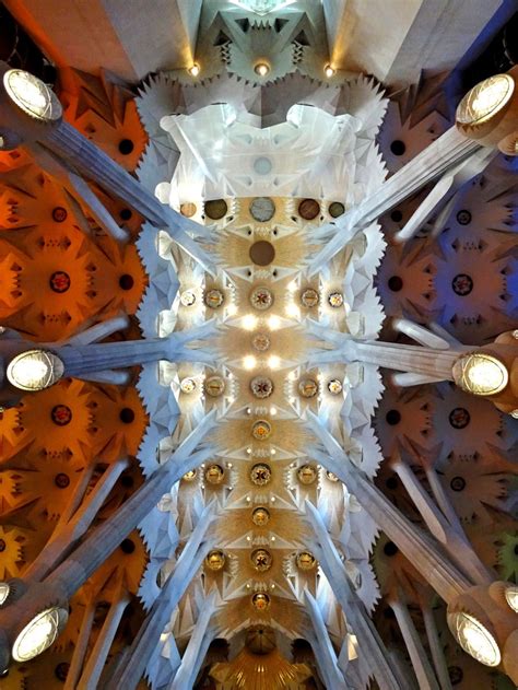 Ceiling Of Sagrada Familia Smithsonian Photo Contest Smithsonian