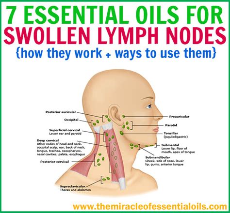 Best Essential Oils For Lymph Node Swelling The Miracle Of Essential Oils