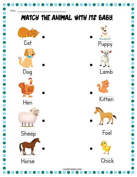 Animals And Their Babies Worksheets Free 10 Page Pdf