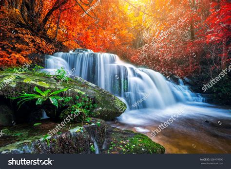Amazing Waterfall Colorful Autumn Forest Stock Photo 556479790