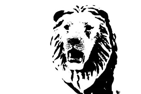 590 Roaring Lion Silhouette Stock Photos Pictures And Royalty Free