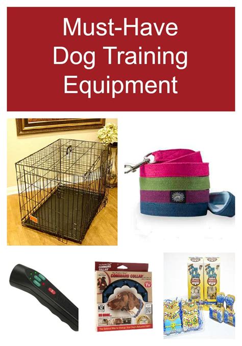 5 Pieces Of Dog Training Equipment You Must Own