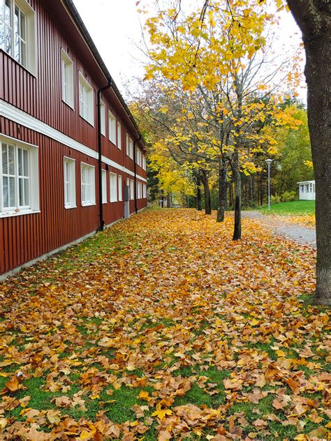 Autumn In Sweden Saija Merio Flickr