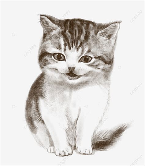 Gambar Comel Ilustrasi Kartun Kucing Garis Lukisan Ilustrasi Lukisan