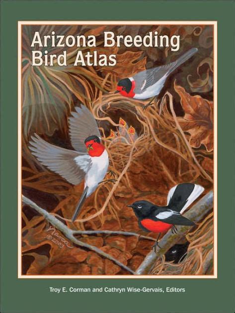 Arizona Breeding Bird Atlas By Troy E Corman Hardcover Barnes And Noble