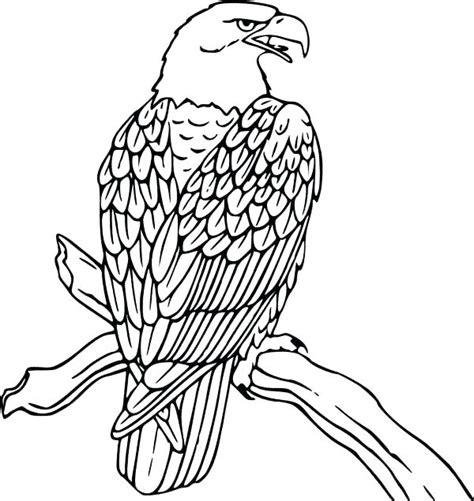 The bald eagle represents courage and strength. Bald Eagle Coloring Pages Printable at GetDrawings | Free ...