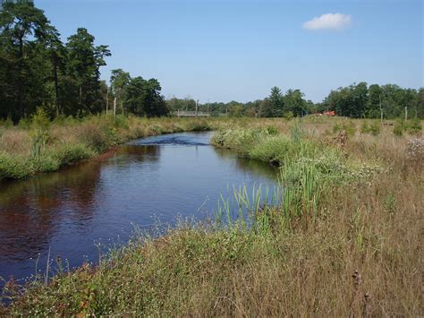 Project Spotlight Vineland Floodplain Remediation And Wetland