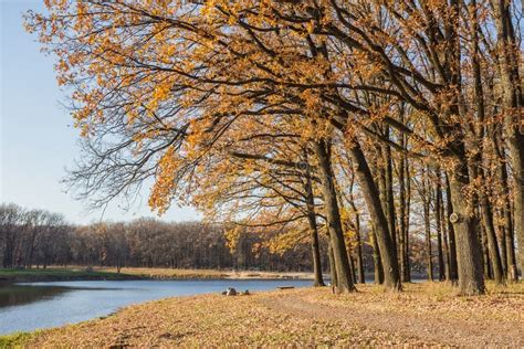 Walking Path In The Lake Side Autumn Stock Photo Image Of Beauty