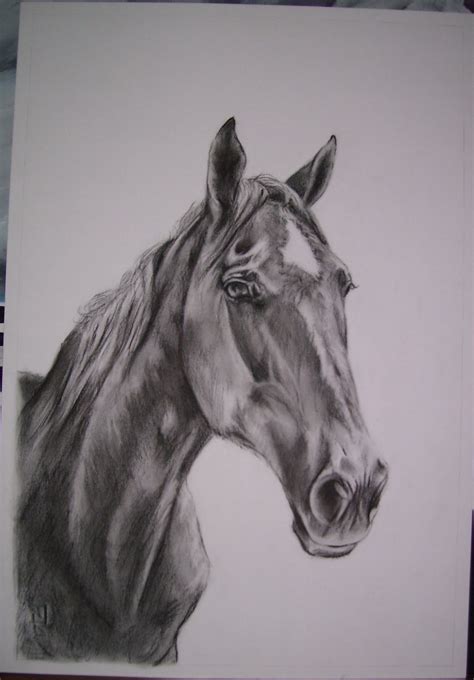 Painting paesaggi matita foglie pittura disegni a carboncino arte illustration disegni. Carboncino Galleria: Ritratti di Cavalli, Quadri di ...