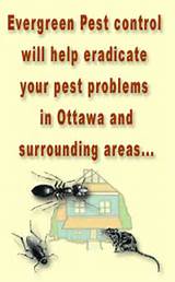 Photos of Ottawa Best Pest Control