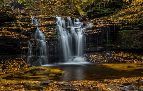 Wallpaper Autumn Leaves Waterfall Pa Cascade Pennsylvania