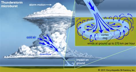 Debris from downbursts, or microbursts, is commonly blown in one direction. 24033-004-73D7C37D.jpg
