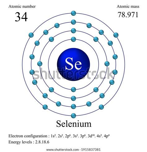 Selenium Atomic Structure Has Atomic Number Stock Vector Royalty Free