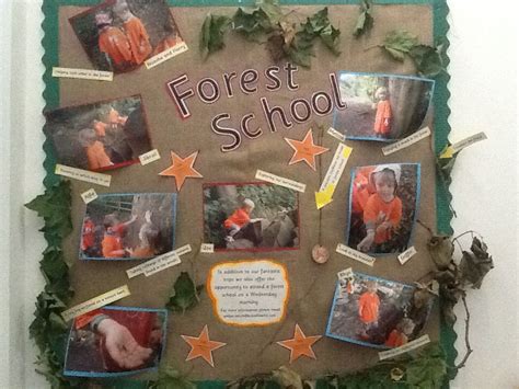 Forest School School Displays Wood School