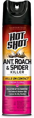 Amazon com Hot Shot Asesino de hormigas cucarachas y arañas mata insectos en interiores y
