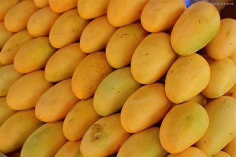 Guimaras Eyes Australia Eu Markets For Mango Export Guimaras Updates