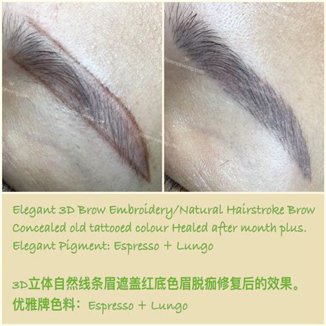 Elegant 3d Brow Embroidery ~ Concealed Red Base Brow Healed Result