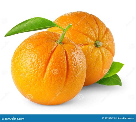 Two Oranges Stock Image Image Of Macro Horizontal Design 18952473