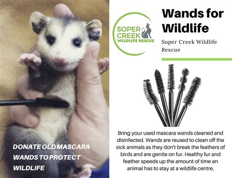 did you know your old mascara wands can be re used to protect wildlife prettycleanshop