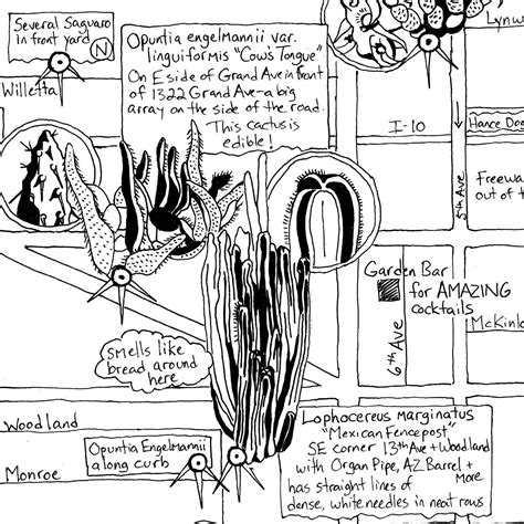 Phoenix Cactus Map Hand Drawn Map By Jen Urso