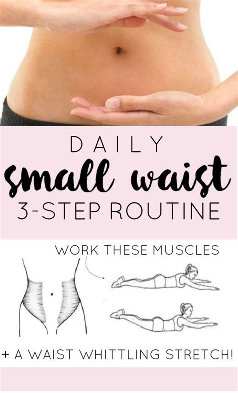 3 Step Daily Small Waist Workout Routine The Dumbbelle