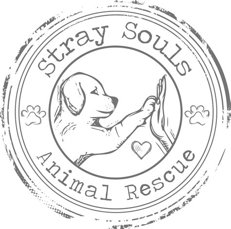 FOSTER - Stray Souls Animal Rescue