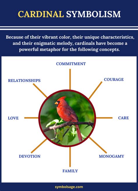 Symbolism Of The Cardinal Bird - Symbol Sage